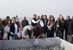 10 ton hamsi bedava dağıtıldı! Uzun kuyruklar oluştu