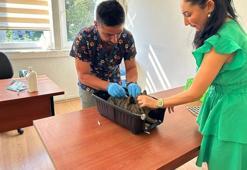 Kayıt yapmak zorunlu! Son tarih 31 Aralık