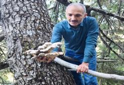 Konya’da sabah saatlerinde başlayan hareketlilik! Akın akın gidiyorlar