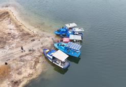 Denize kıyısı yok ama günlük 2 ton üretiyorlar! Malatya'da avlanan balıklar Ortadoğu sofralarına ulaşıyor