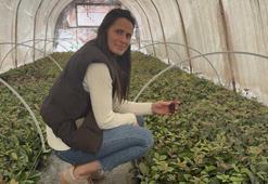 Baba mesleğinin devraldı! 7 kadın çiftçiyle birlikte 30 dekar alanda süs bitkisi ihraç ediyor!
