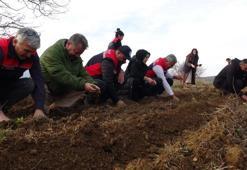 Kastamonu'da kadınlar için üretildi: Ücretsiz 38 bin adet verildi