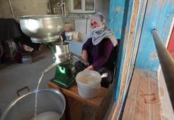 Erzurum'un doğal antibiyotiği! Kilosu 500 lira ama tam bir şifa kaynağı