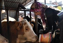 Nevşehir'de üniversite okuyor ama asıl tutkusu traktör direksiyonunda! 'Dönmek için gün sayıyorum'
