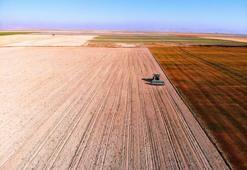 Konya'da 10 milyon dekar alanda alarm durumuna geçildi!