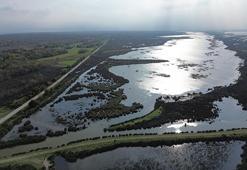 Kızılırmak Deltası Kuş Cenneti'ndeki göller, sonbahar yağışlarıyla dolmaya başladı!