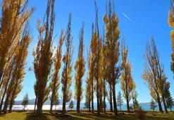 Hazar Gölü sonbahar renkleriyle büyülüyor! Doğaseverler akın akın oraya gidiyor