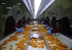 Bu yıl büyük zarar gördü! Ama hedef 300 milyon dolar gelir