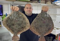 Karadeniz'de hamsi bereketi diğer balık türlerini de canlandırdı