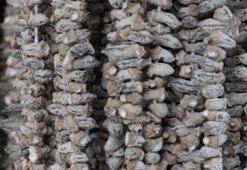 Şehir dışından Gaziantep'e gelip kilolarca alıyorlar! Talep arttı, kilosu 2 bin liradan satılıyor