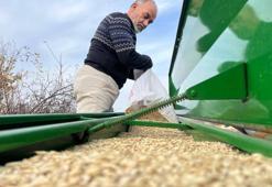 Çiftçilerin ekim mesaisi başladı! 12 bin yıllık ürün toprakla buluştu