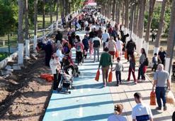 Filesini eline alan koştu! Dalından bedava narenciye topladılar