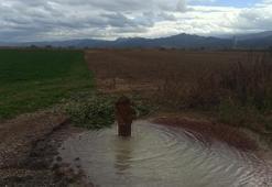 Konya’da çekilen su geri geliyor! Su metrelerce yükseğe püskürdü!