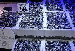 Karadeniz’den hamsi fışkırıyor! Balıkçılar uykusuz, tekneler dolup taşıyor