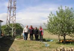 Türk cerrah Erzincan'da yeni üretim modeli buldu: Köyde 400 dekarı kapattı, fabrikalara satıyor