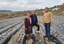 Denizli'de 10 mahalle bir araya gelip karar aldı: 1 ton üretmek için çalışma başladı