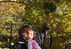 Denizli'de şaşırtan olay! Bahçesine kabak ekti! "Böyle bir şey hiç görmedim!"