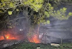 Bolu Mudurnu’da ormanlık alanda yangın çıktı