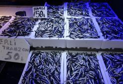 Karadeniz'den bu sezon adeta hamsi fışkırıyor! Fiyatlar yeniden 50 liraya düştü