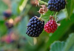 Bursa'da hibe desteği! Başvurular 30 Kasım'da sona erecek