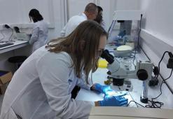 Bursa'da Türk bilim insanları tardigradların 'su ayısı' proteinleriyle savunma sanayine biyomalzeme geliştirecek