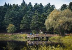 Türkiye'nin 'Orman denizi' Yedigöller’i 2 ayda 180 bin kişi ziyaret etti