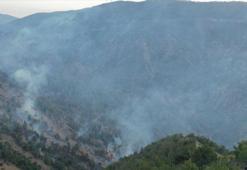 Hatay Belen'de çıkan orman yangını kontrol altına alındı