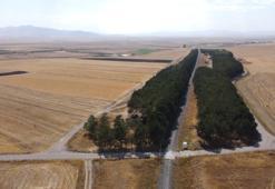 Kars'ta kar yağışı için 56 yıl önce yapıldı! 20 bin adet ile hayat buldu