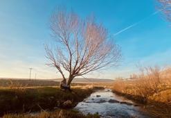 Ağrı'nın Patnos ilçesi de nasibini aldı: Görenler şaşkına dönüyor