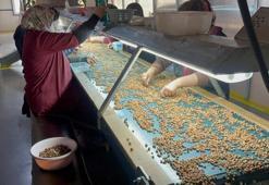 Türkiye'de en çok tüketilen ürünün fiyatı aylık değişiyor! Fiyatların yükseleceği tarih belli oldu