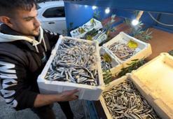 Palamut Gürcistan'a kaçtı! Tezgahlar hamsiyle doldu