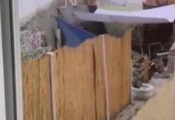 Eskişehir'de köpeğe eziyet eden şahıs yakalandı