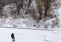 Mevsimin ilk karı düştü: Kars kent merkezi beyaza büründü