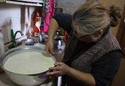 Aydın'da desteksiz üretim başladı! Eşe dosta verilmiyor: 5 saatte fiyatını ikiye katlıyor
