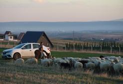 9 yaşında baba mesleğini devraldı: Eskişehir'de üretime destek oluyor
