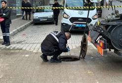 Uşak'ta kanalizasyondan dehşet çıktı