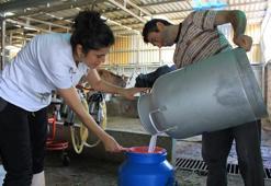 Hastalık vurunca büyük zarar gördüler! Üreticiler fiyatlarda artış istiyor