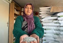 Çankırı'nın meşhuru yola düştü: Kara yolu kenarında tezgaha indi! 6 yıldır şifa satıyor