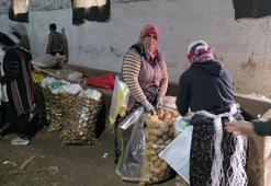 Afyonkarahisar'da hasat bitti! Tarlalardan depolara taşınıyor! Kilogram fiyatı çiftçinin yüzünü güldürdü