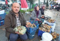 Bir yağmur yağdı, fiyatı 400 liradan 100 liraya düştü! Bu sezon bol bol tüketilecek