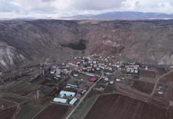 Sivas'ın en değersiz tarlasında fark etti: İki arkadaş 3 bin tane buldu! Her birine farklı isim verildi