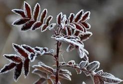 3 Aralık Malatya hava durumu: Bugün yağış var mı, hava kaç derece?
