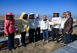 Van'da 2 bin rakımda üretilen bal'a Azerbaycan'dan lezzet ödülü! 100'den farklı çeşidin arasından seçildi: Hedef 2 bin 500 ton çiçek üretmek