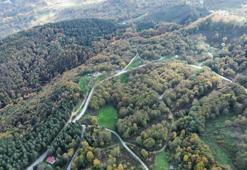 Düzce'nin dağlarında fark edildi: Kısmet deyince ortaya çıktı