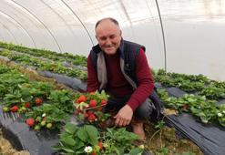 Manisa'dan çıktığı an kilosu 200 lira oluyor! Gaziantep, Diyarbakır, Şanlıurfa sırada bekliyor