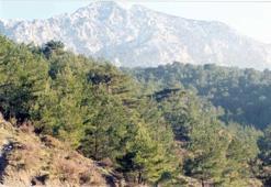 Spil Dağı Milli Parkı