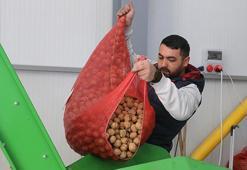 Tokat'ta devlet desteğiyle kurdu, 2 katına çıkardı! Tonlarca üretiyor, paraya para demiyor