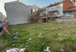 Eskişehir'de vahşet! 8 kediyi katledip boş arsaya attılar