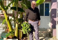 Denizli'de vatandaşın inadı mucizeyi gerçekleştirdi! Görenler gözlerine inanamıyor