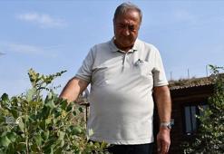 Adana'da mühendis emekli olunca yaptı! 2 bin tane birden ekti, şimdi fabrikasını kuracak